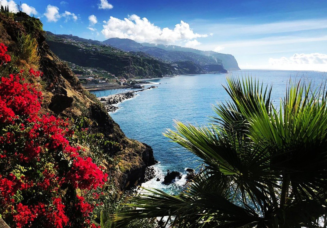 267019_yoga-portugal-reisen-madeira-bucht-panorama-meer.jpg