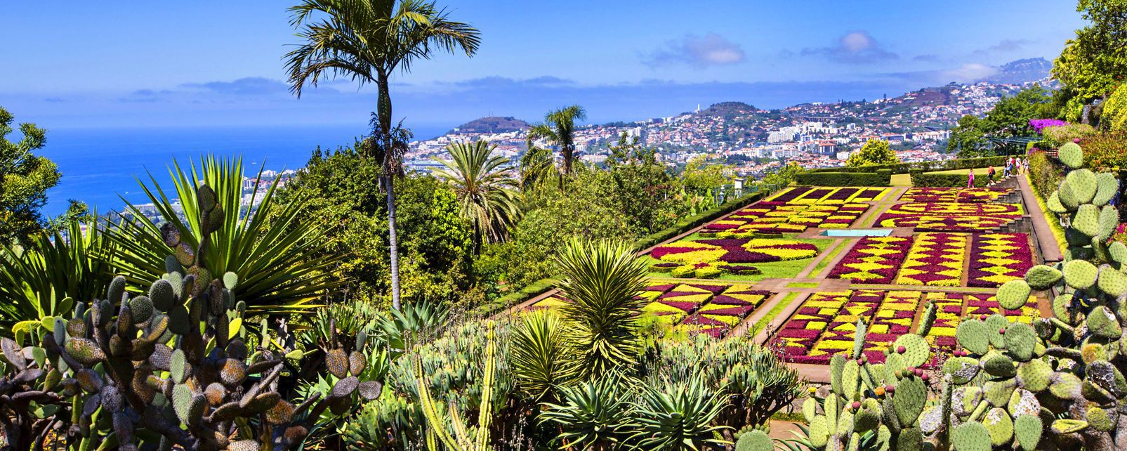 botabical-gardens-funchal-madeira.jpg