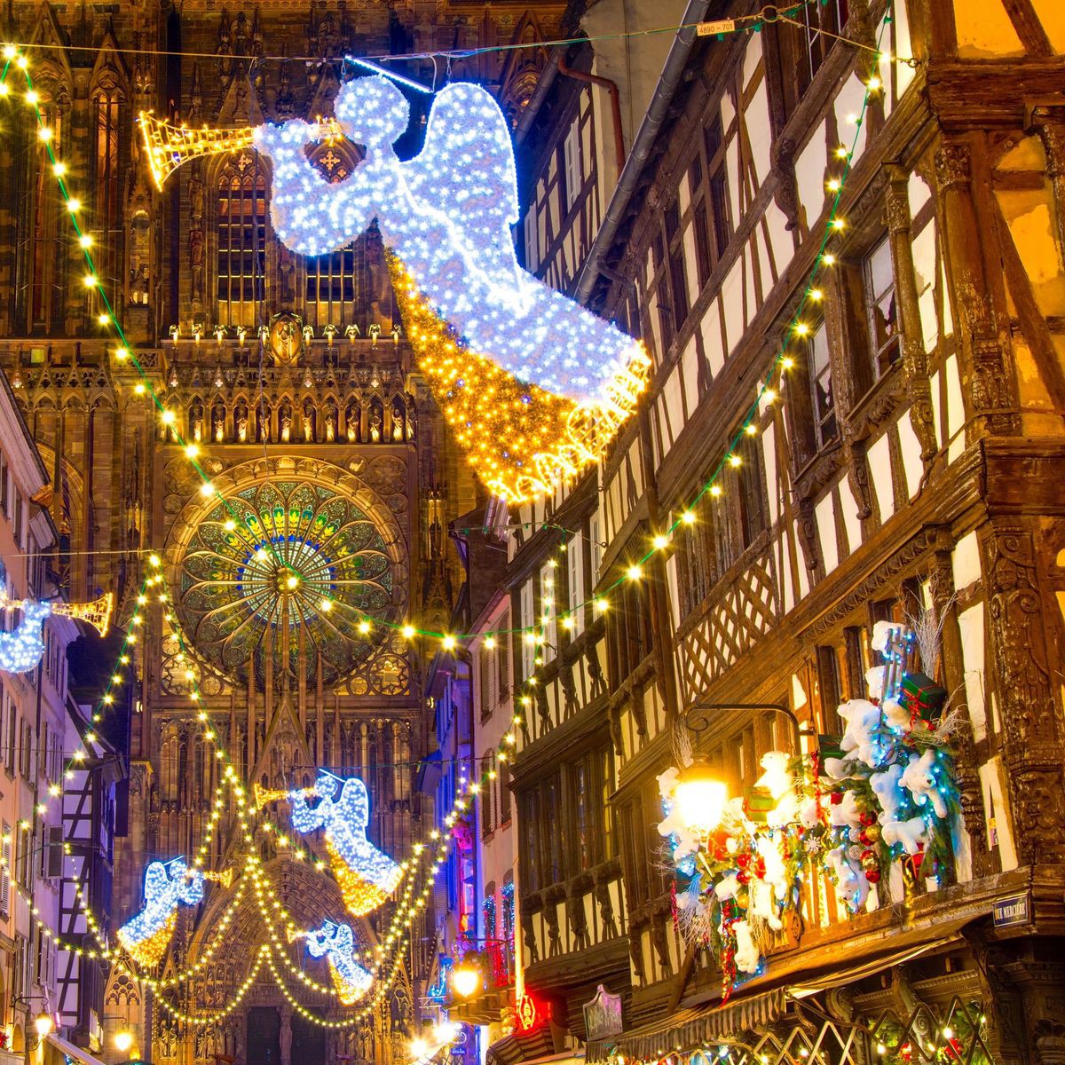 csm_lueftner_cruises_amadeus_rhine_winter_france_strasbourg__c_adobestock_169315883_d50e0347c6.jpeg