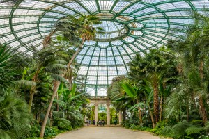 be-brussels-sights-royal-greenhouses-51-cover.jpg