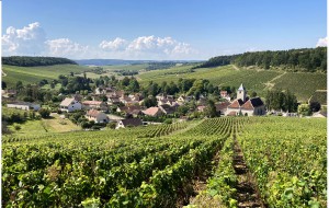 viviers-sur-artaut_10.jpg