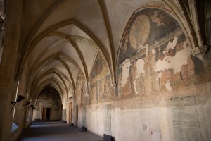 img-8221.jpg